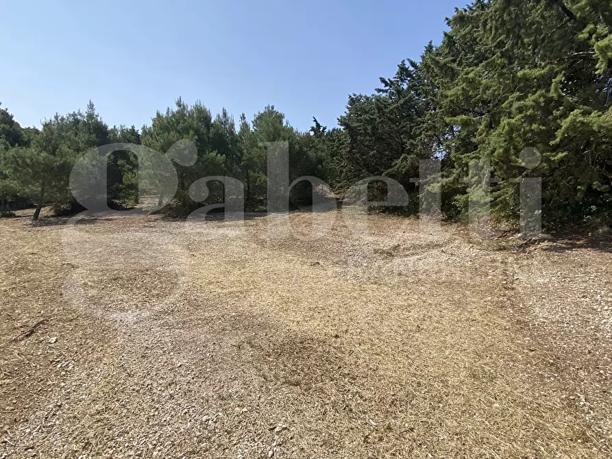 Immagine 28 di Villa in vendita  in Via S.P. 18, 76 a Cassano Delle Murge