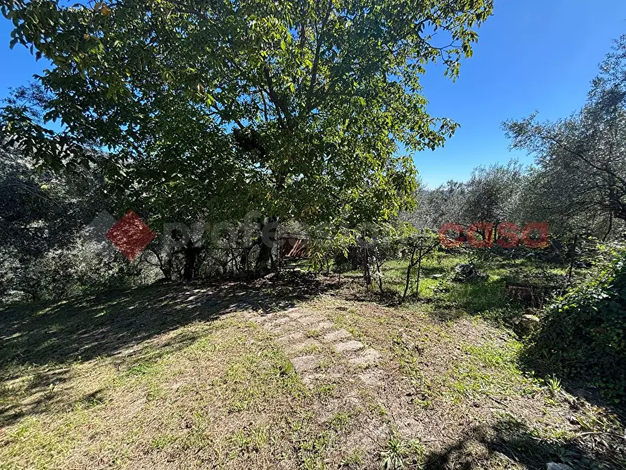 Immagine 7 di Casa indipendente in vendita  in Via Puzzigo, snc a Anagni