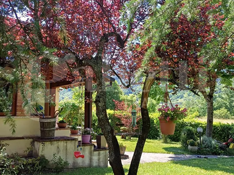 Immagine 4 di Villa in vendita  in Via SAN MARIA DEL MONTE, snc a Borbona