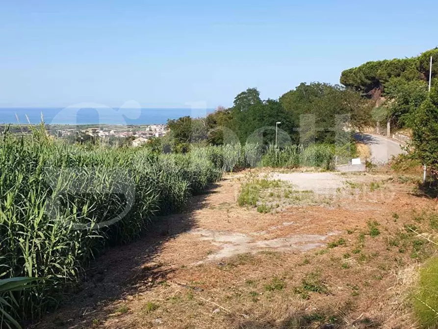 Immagine 4 di Terreno residenziale in vendita  in Via Mauro Pagano, snc a Colonnella