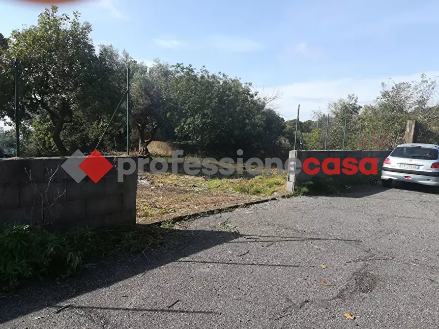 Immagine 1 di Terreno agricolo in vendita  in Contrada Scorsone, SNC a Belpasso