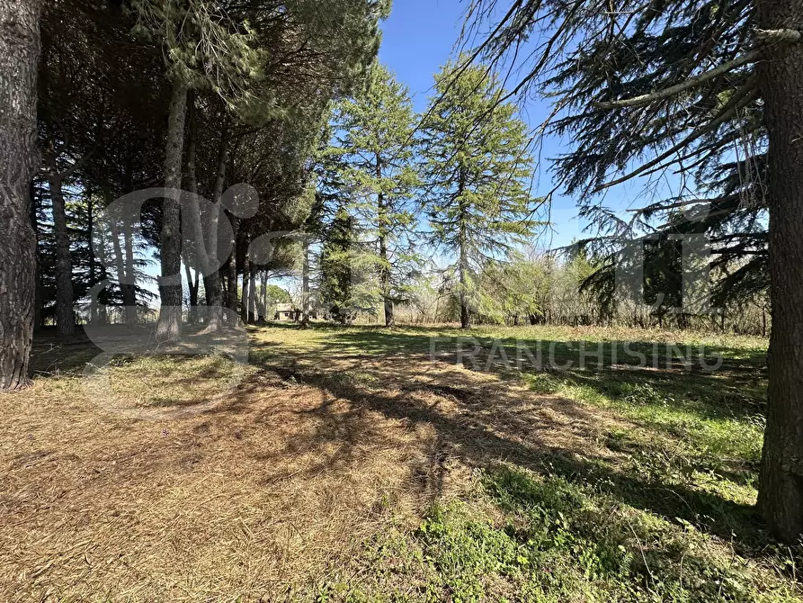 Immagine 20 di Villa in vendita  in Strada DELLA CASTELLINA, 00 a Oriolo Romano