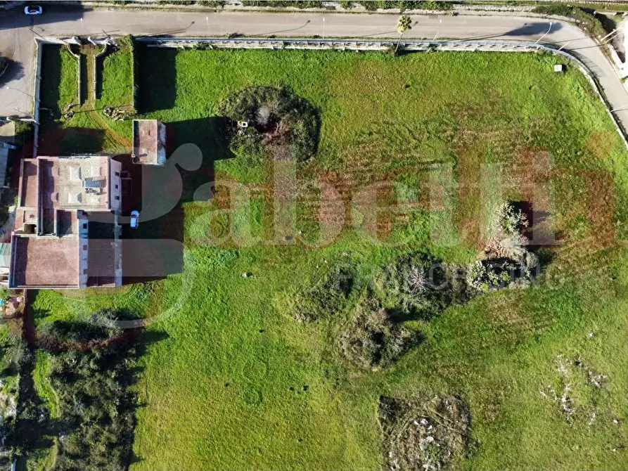 Immagine 29 di Villa in vendita  in Via stazione, snc a Zollino