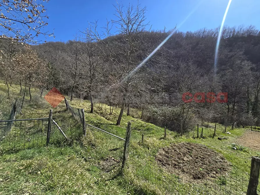 Immagine 13 di Terreno agricolo in vendita  in Via del Cerenaro, snc a Rieti