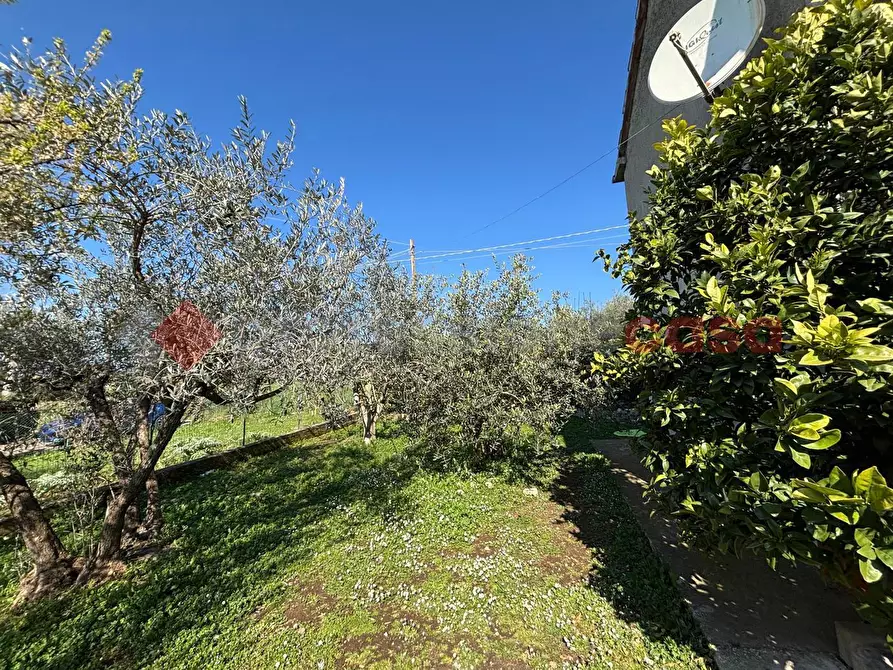 Immagine 17 di Casa indipendente in vendita  in Contrada torretta, 52 a Piglio