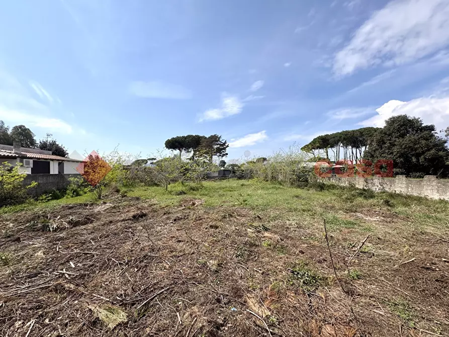 Immagine 29 di Terreno agricolo in vendita  in Via SAN FELICE CIRCEO TRAVERSA 23, 23 a Terracina