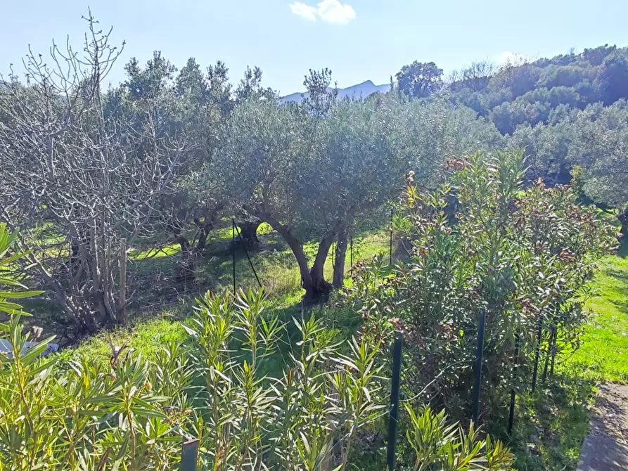 Immagine 47 di Villa in vendita  in LocalitÃ  MORTILLA, SNC a Magisano