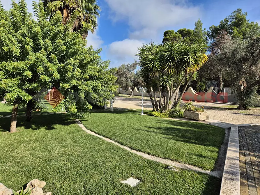 Immagine 19 di Bar / Ristorante in vendita  in Contrada MARTINA, SNC a Latiano