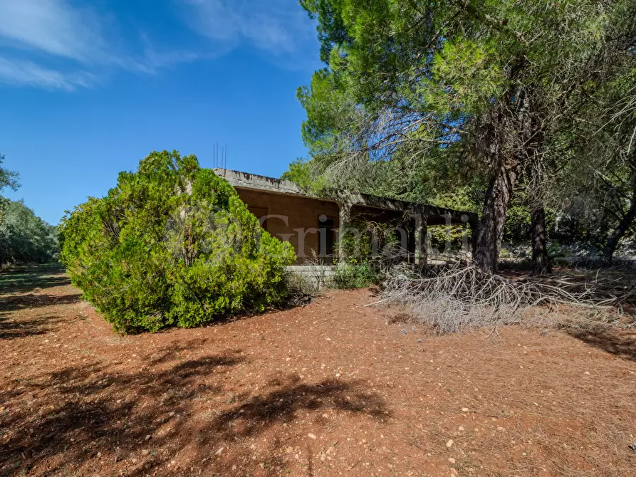 Immagine 3 di Terreno agricolo in vendita  in Via Cava Grande, 1 a Avola