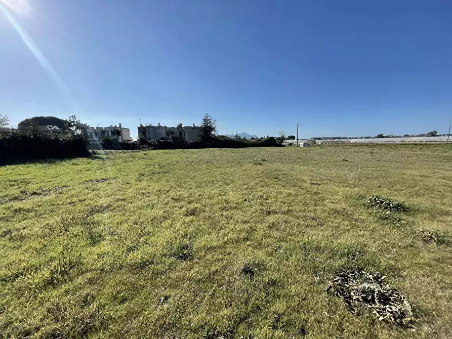 Immagine 11 di Terreno agricolo in vendita  in Via SAN FELICE CIRCEO, 1 a Terracina