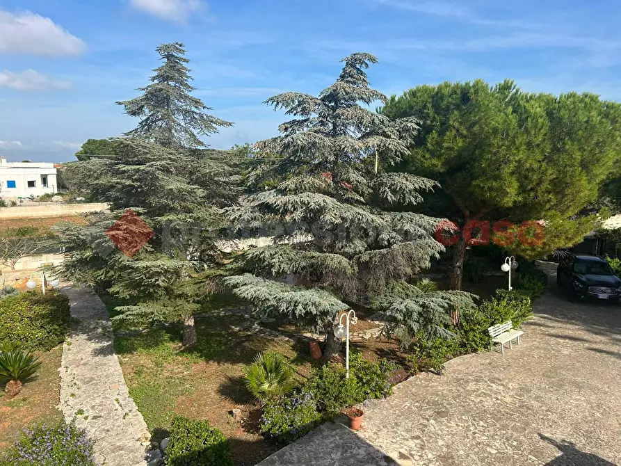 Immagine 22 di Casa indipendente in vendita  in Via CAPITOLO a Monopoli