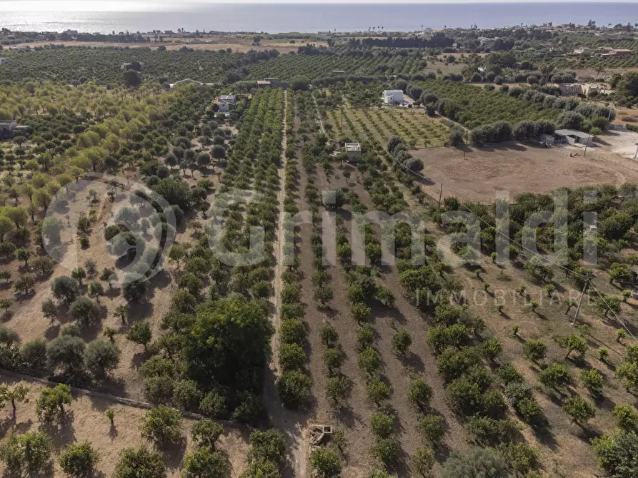 Immagine 9 di Terreno residenziale in vendita  in Contrada calabernardo/palma, snc a Avola