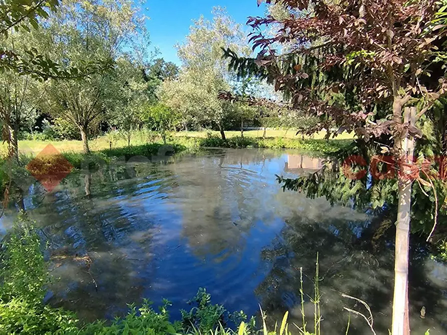 Immagine 7 di Rustico / casale in vendita  in Via G. rossa, 1 a Carpiano