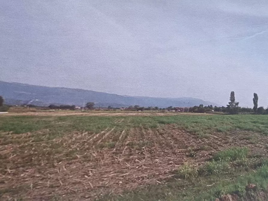 Immagine 1 di Terreno residenziale in vendita  in Via Santa Romana, 00 a Schiavon