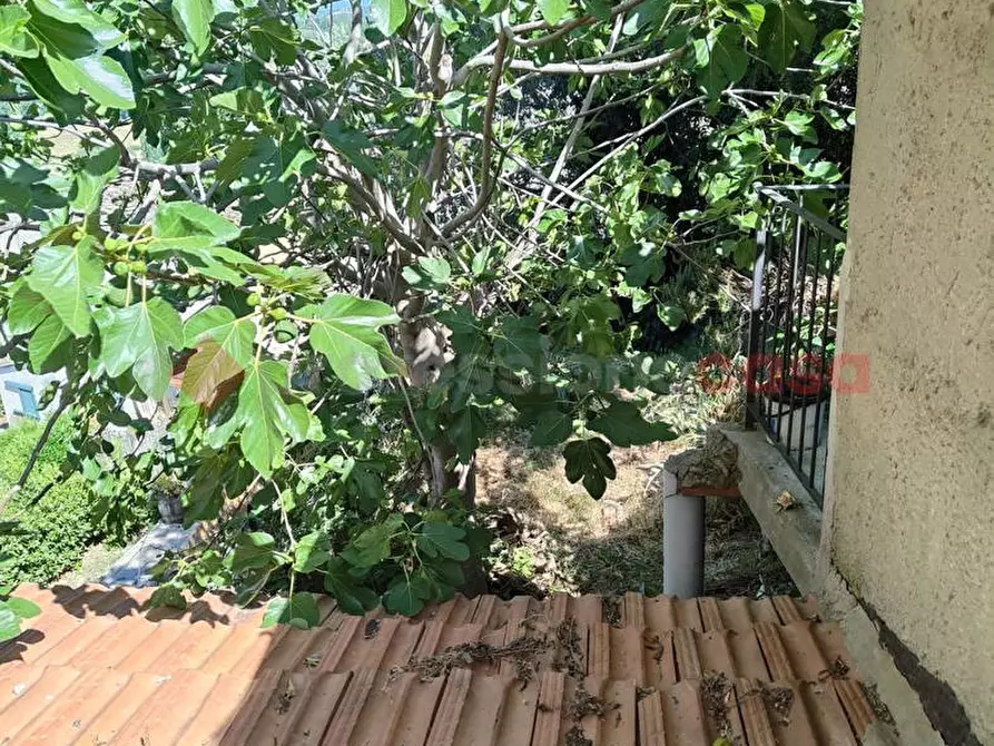 Immagine 20 di Appartamento in vendita  in Via SPARTACO LAVAGNINI a Castelfiorentino