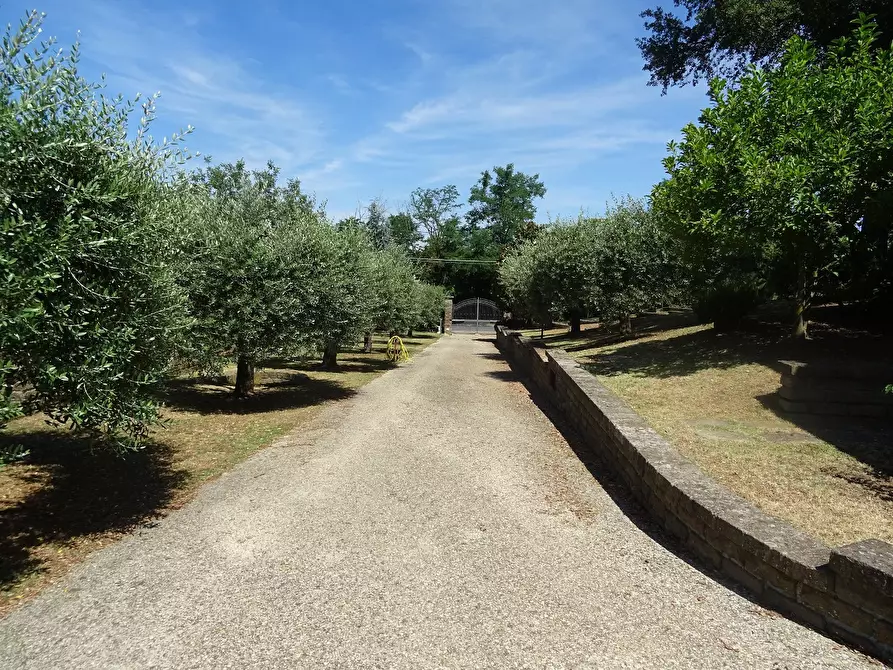 Immagine 10 di Villa in vendita  in Via Canale, 86 a Manziana