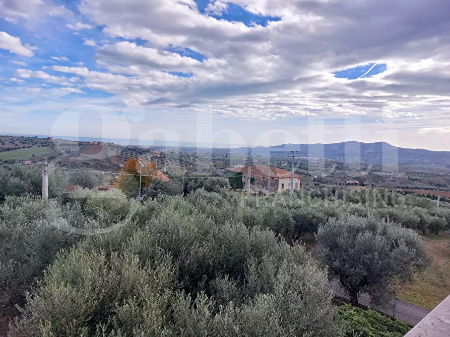 Immagine 1 di Villa in vendita  in Via Mameli, 9 a Corropoli