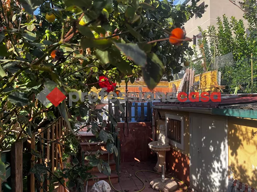 Immagine 35 di Casa indipendente in vendita  in Via Misurata, 16 a Catania