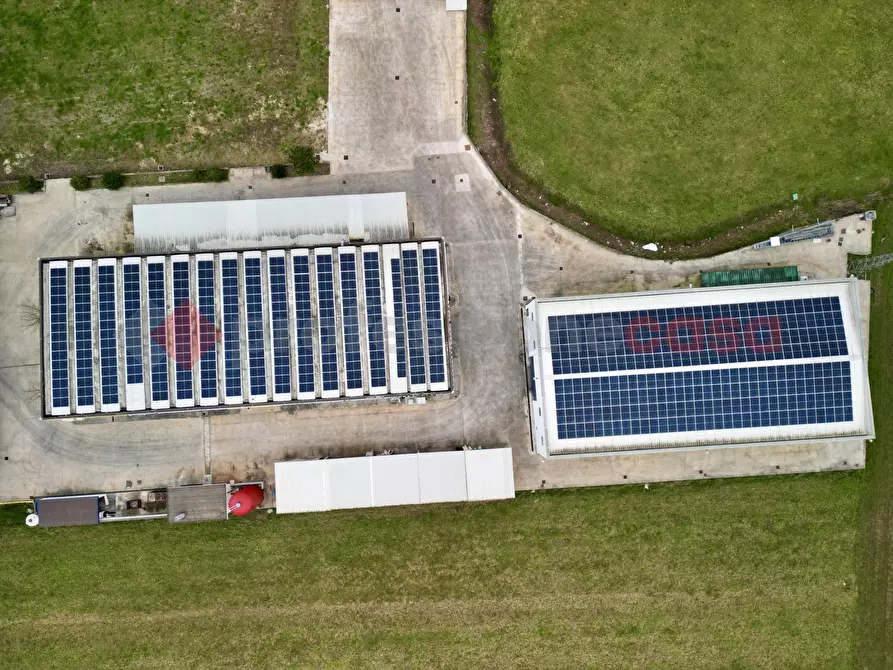 Immagine 1 di Capannone industriale in vendita  in Via Provinciale Morolense, 105 a Morolo