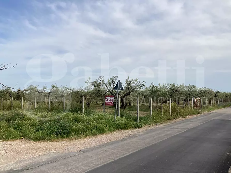 Immagine 3 di Terreno residenziale in vendita  in Strada vicinale guadone, snc a San Severo