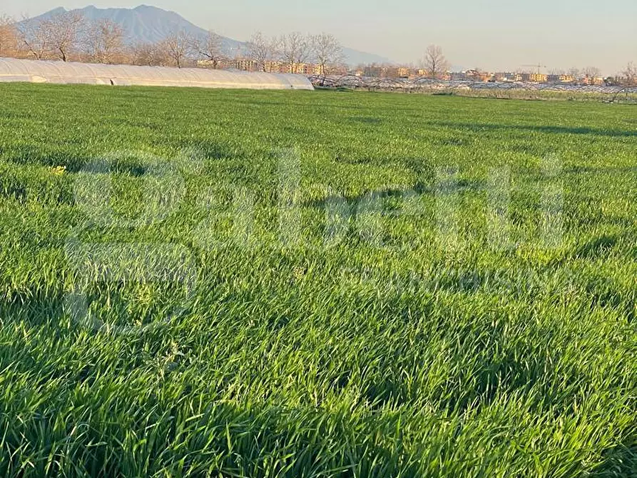 Immagine 6 di Terreno agricolo in vendita  in Via castello a Succivo