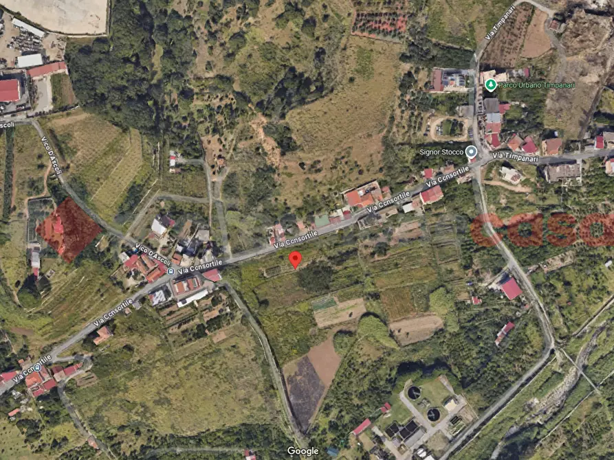 Immagine 11 di Terreno agricolo in vendita  in Via Consortile Catona, 263 a Reggio Di Calabria