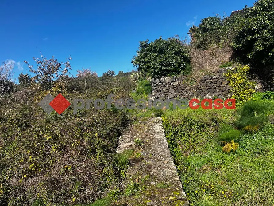 Immagine 16 di Terreno agricolo in vendita  in Via Mediterraneo, 2 a Mascalucia