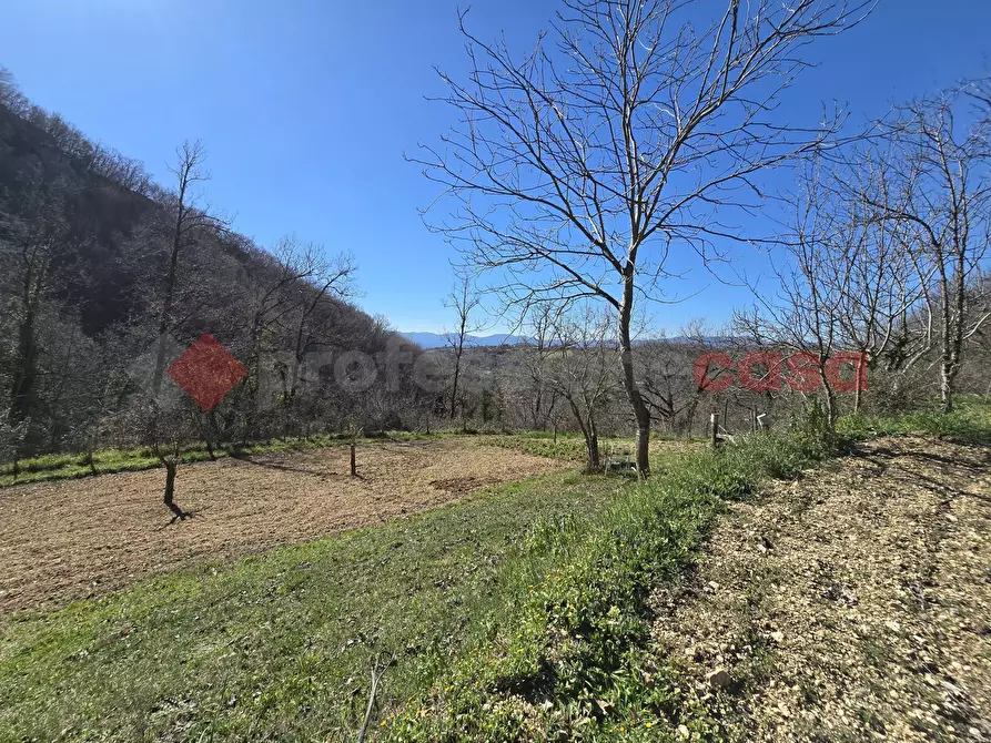 Immagine 17 di Terreno agricolo in vendita  in Via del Cerenaro, snc a Rieti