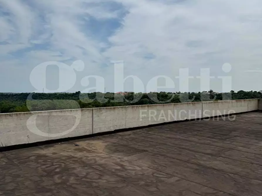 Immagine 18 di Capannone industriale in vendita  in Contrada Scarciapelli, snc a Rocca San Giovanni