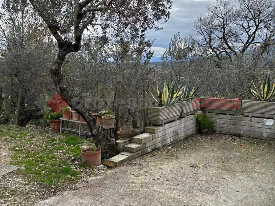 Immagine 5 di Appartamento in affitto  in Via Rotabile San Francesco, snc a Anagni