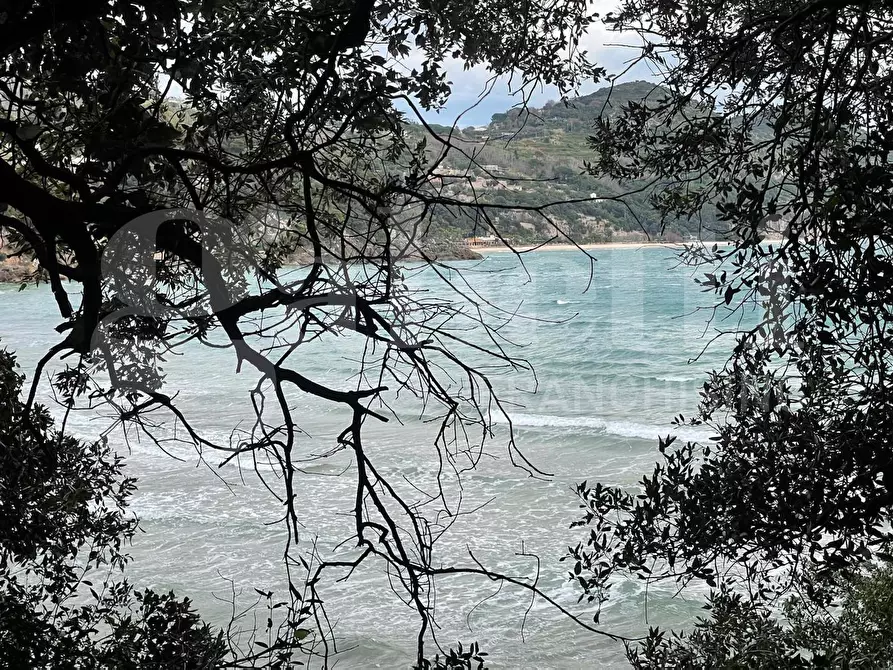 Immagine 4 di Terreno agricolo in vendita  in Via Monte a mare, s.n.c. a Gaeta