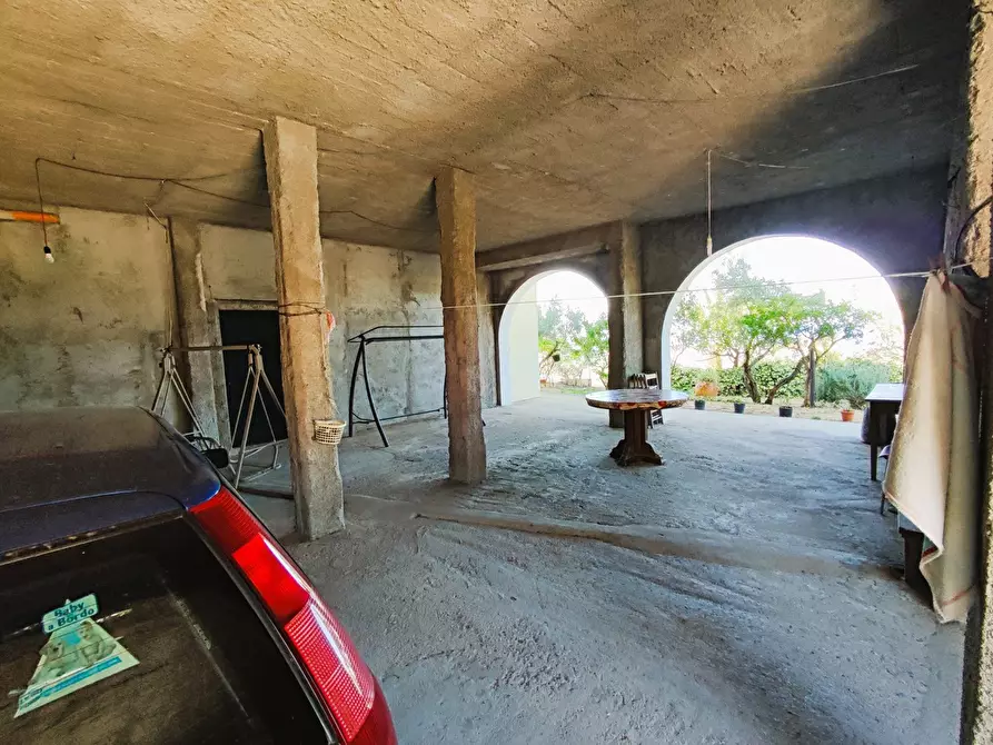 Immagine 11 di Palazzo in vendita  in Via SANTA LUCIA, 41 a Davoli