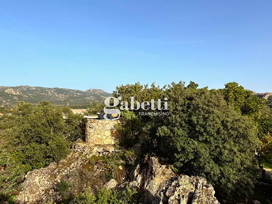 Immagine 29 di Magazzino in vendita  in LocalitÃ  Sas Enas, 2 a Padru