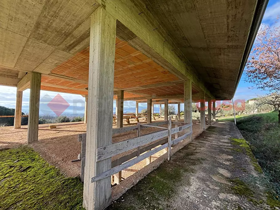 Immagine 3 di Casa indipendente in vendita  in LocalitÃ  San Buci, snc a Piglio