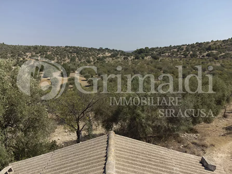 Immagine 9 di Terreno agricolo in vendita  in Via SS115, 1 a Noto