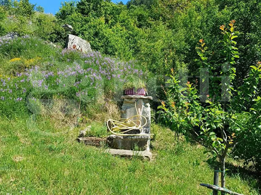 Immagine 37 di Villa in vendita  in Via SAN MARIA DEL MONTE, snc a Borbona