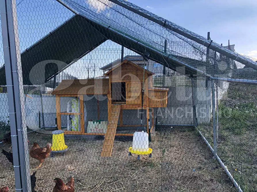 Immagine 45 di Casa indipendente in vendita  in Via Colle Luna, 3 a Tortoreto
