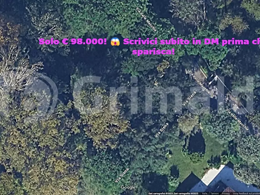Immagine 3 di Terreno agricolo in vendita  in Via MACCHIE, 1 a Massa