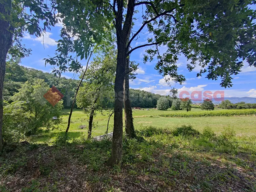 Immagine 44 di Terreno agricolo in vendita  in Via di castagneto a Empoli