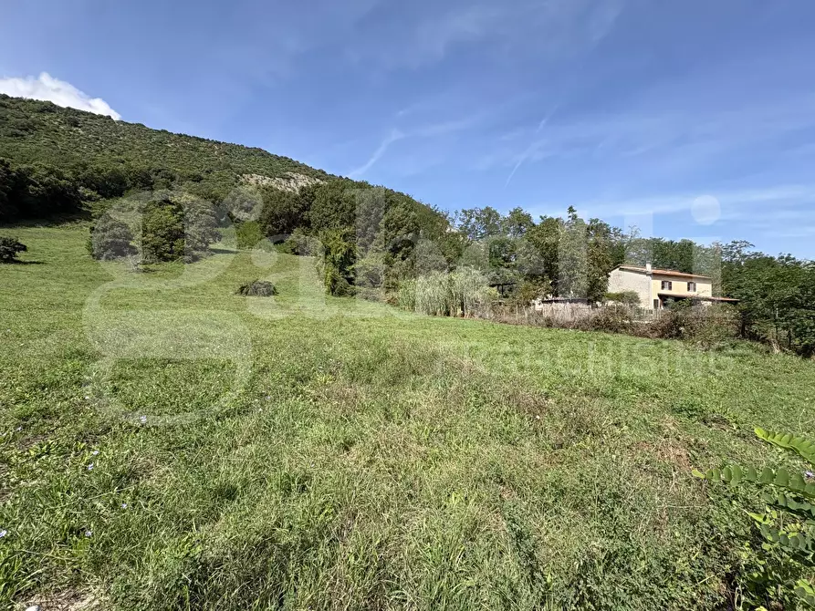 Immagine 12 di Terreno agricolo in vendita  in Via Carpinetana Ovest, snc a Segni