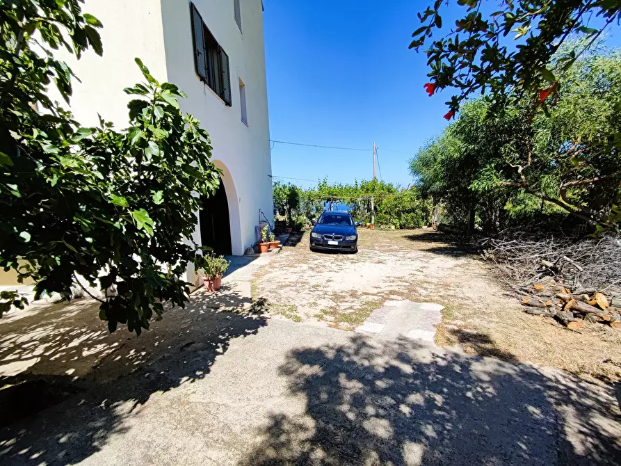 Immagine 1 di Palazzo in vendita  in Via SANTA LUCIA, 41 a Davoli