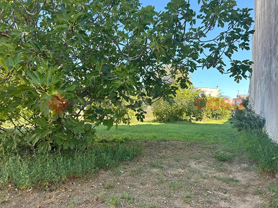 Immagine 2 di Terreno residenziale in vendita  in Via diso a Spongano