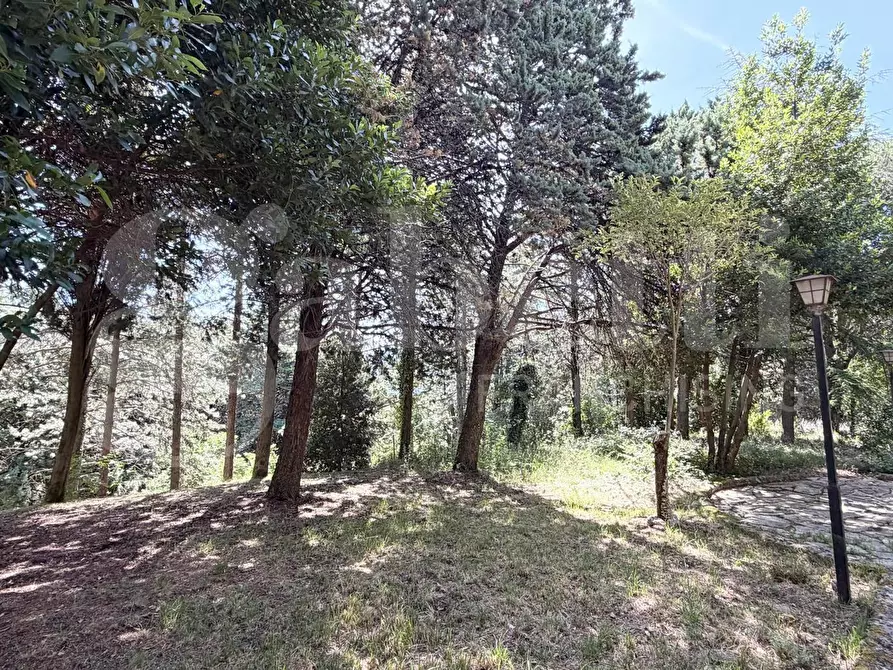 Immagine 4 di Appartamento in vendita  in Via FRAZIONE PARADISO, 1 a Assisi