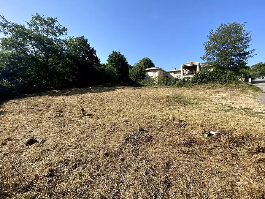 Immagine 5 di Terreno residenziale in vendita  in Via VITERBO, 00 a Manziana