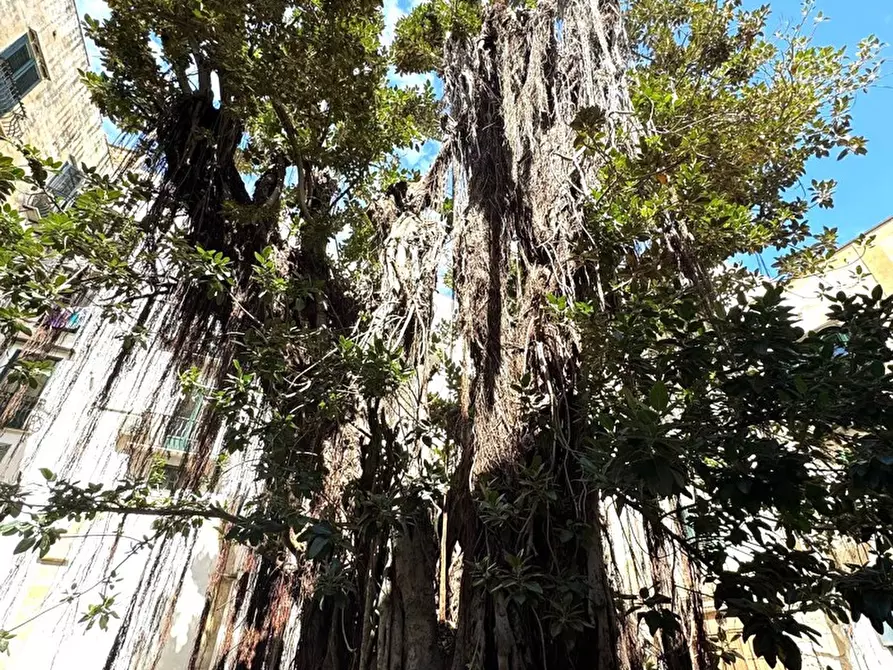 Immagine 12 di Negozio in affitto  in Piazza Meli, 5 a Palermo