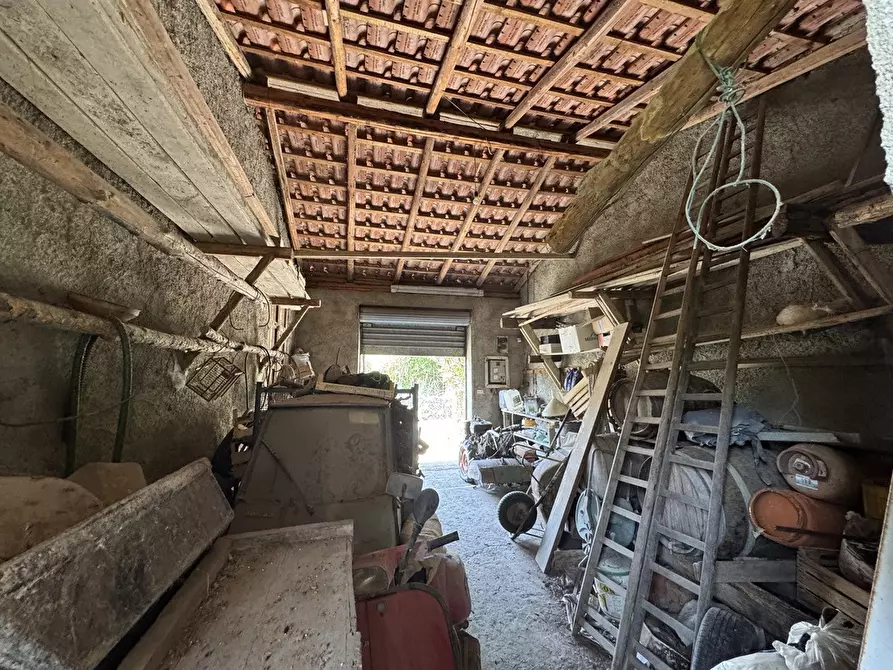 Immagine 22 di Terreno agricolo in vendita  in Strada comunale, snc a Rometta