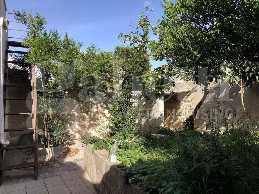 Immagine 23 di Casa indipendente in vendita  in Via Roma a Cannole