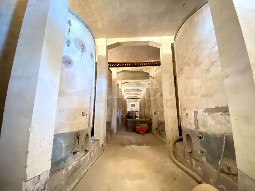 Immagine 5 di Rustico / casale in vendita  in Via Brancati, 217 a Pachino