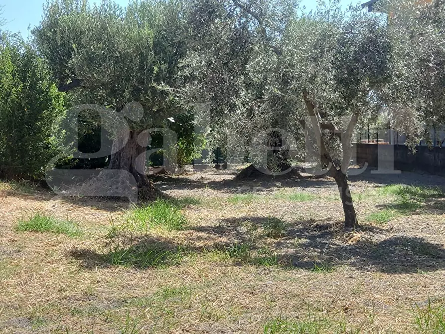 Immagine 8 di Casa indipendente in vendita  in Via Puglia, snc a Catanzaro