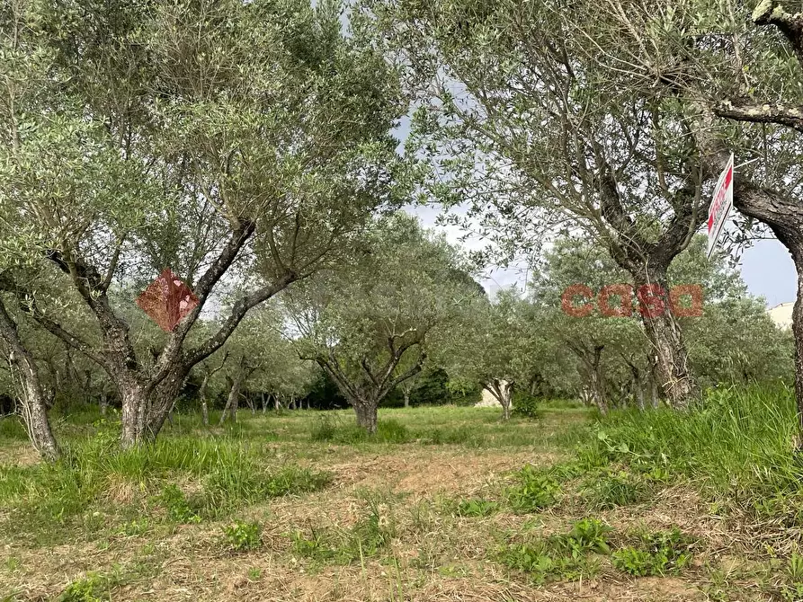 Immagine 4 di Casa indipendente in vendita  in Via paterno, snc a Anagni